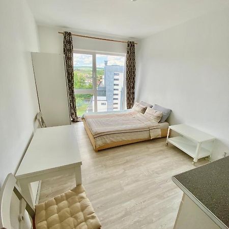 Cozy Studio Near The Center Of Cluj Luaran gambar