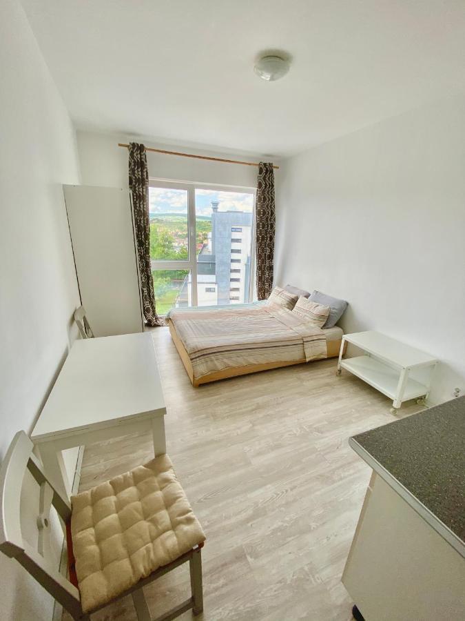 Cozy Studio Near The Center Of Cluj Luaran gambar